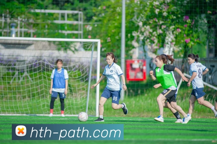 华体会APP 封面图